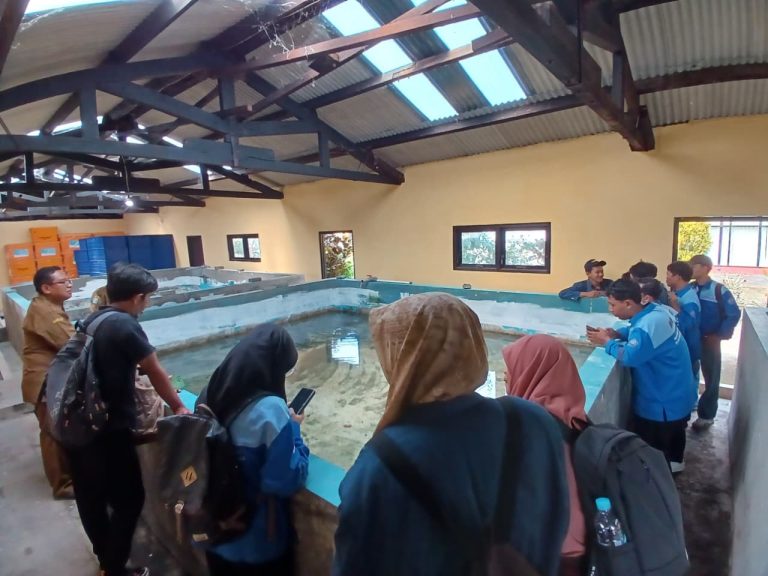 Belajar Langsung dari Ahlinya! Mahasiswa Budidaya Perikanan UM Gresik Bongkar Rahasia Sukses Budidaya Lele di Mojokerto