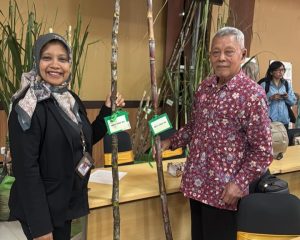 Varietas Tebu Hasil Riset 13 Tahun Profesor UM Gresik Resmi Jadi Varietas Unggul Nasional